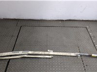  Подушка безопасности боковая (шторка) Bentley Continental GT 2003-2011 20302102 #2