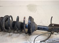  Амортизатор подвески Subaru Forester (S11) 2002-2007 20302263 #1