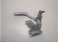  Петля капота Nissan Leaf 2010-2017 20302275 #1