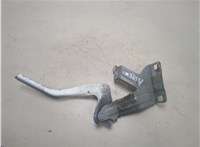  Петля капота Nissan Leaf 2010-2017 20302277 #1