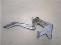 Петля капота Nissan Leaf 2010-2017 20302277 #3