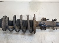  Амортизатор подвески Volkswagen Transporter 5 2009-2015 20302562 #1