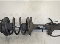 Амортизатор подвески Nissan X-Trail (T30) 2001-2006 20302597 #1