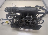  Коллектор впускной Chevrolet Kalos 20302767 #1