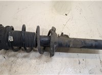  Амортизатор подвески Volkswagen Passat 8 2015- 20302816 #1