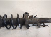  Амортизатор подвески Ford Focus 3 2011-2015 20302933 #1