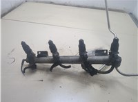 5817404, 5817405, 12569091, 12565474 Форсунка топливная Opel Astra G 1998-2005 20303017 #1