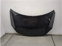  Капот Renault Koleos 2008-2016 20303055 #2