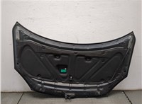  Капот Renault Koleos 2008-2016 20303055 #5