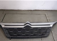 1315804070 Решетка радиатора Citroen Jumper (Relay) 2014- 20303152 #1