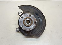  Ступица (кулак, цапфа) Nissan Leaf 2010-2017 20303287 #1