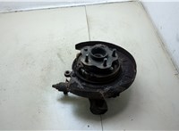  Ступица (кулак, цапфа) Nissan X-Trail (T30) 2001-2006 20303356 #2