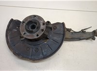  Ступица (кулак, цапфа) Volkswagen Touareg 2002-2007 20303438 #1