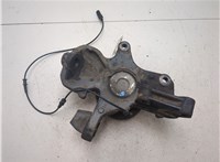 2E0407303P Ступица (кулак, цапфа) Volkswagen Crafter 2006-2016 20303473 #4