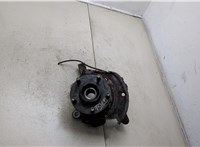  Ступица (кулак, цапфа) Nissan X-Trail (T30) 2001-2006 20303697 #1