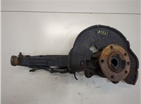  Ступица (кулак, цапфа) Volkswagen Touareg 2007-2010 20303892 #1