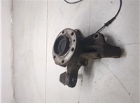 2E0407304M Ступица (кулак, цапфа) Volkswagen Crafter 2006-2016 20303933 #3