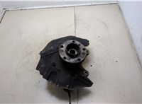  Ступица (кулак, цапфа) BMW X5 E53 2000-2007 20303979 #1