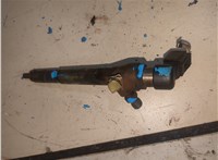  Форсунка топливная Renault Megane 3 2009-2016 20304080 #1
