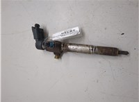  Форсунка топливная Renault Megane 3 2009-2016 20304080 #5