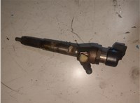  Форсунка топливная Renault Megane 3 2009-2016 20304081 #1