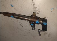  Форсунка топливная Renault Megane 3 2009-2016 20304082 #5