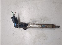 166009445R, 8200294788 Форсунка топливная Renault Megane 3 2009-2016 20304083 #10
