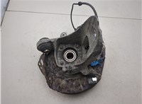 33411095417, 1095417, 33321095239, 1095239 Ступица (кулак, цапфа) BMW X5 E53 2000-2006 20304103 #3