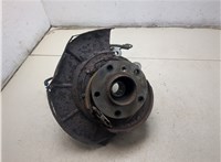 33411095417, 1095417, 33321095239, 1095239 Ступица (кулак, цапфа) BMW X5 E53 2000-2006 20304103 #5