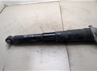 1EA512013AK Амортизатор подвески Audi Q4 E-tron 2021-2025 20304261 #1