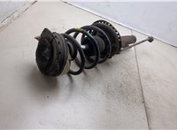 Амортизатор подвески Renault Megane 2 2002-2009 20304309 #3