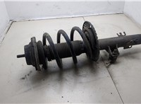  Амортизатор подвески Volkswagen Transporter 5 2003-2009 20304361 #1