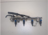  Форсунка топливная Audi A4 (B5) 1994-2000 20304640 #1