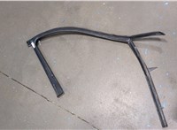  Уплотнитель Renault Megane 3 2009-2016 20304822 #1