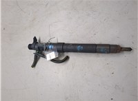 1980L3 Форсунка топливная Peugeot Expert 2007-2016 20305003 #5