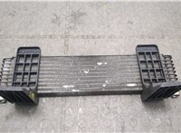  Радиатор масляный Ford F-150 2005-2008 20305066 #1