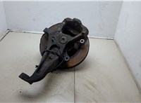  Ступица (кулак, цапфа) Ford F-150 2005-2008 20305194 #2