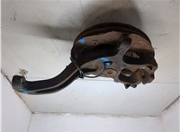 6L3Z1102AB, 7L3Z3105A, 7L3Z2C204A Ступица (кулак, цапфа) Ford F-150 2003-2008 20305194 #3