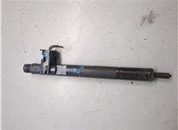 A6460700987 Форсунка топливная Mercedes C W204 2007-2013 20305331 #2
