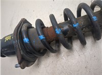 4853009540, 4823102330 Амортизатор подвески Toyota Matrix 2002-2008 20305332 #7