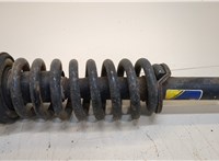  Амортизатор подвески Ford F-150 2009-2014 20306238 #4