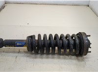  Амортизатор подвески Ford F-150 2009-2014 20306245 #1
