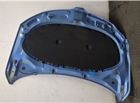 5JA823031B Капот Skoda Rapid 20306253 #8