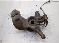  Ступица (кулак, цапфа) Renault Megane 2 2002-2009 20306415 #2