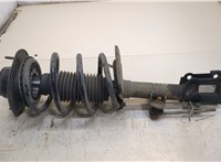  Амортизатор подвески Chrysler Pacifica 2003-2008 20306419 #1