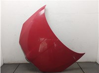  Капот Skoda Fabia 2007-2010 20306478 #1