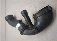  Патрубок интеркулера BMW X5 E70 2007-2013 20306495 #1