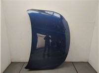  Капот Volkswagen Passat CC 2008-2012 20306542 #1