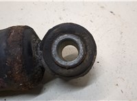  Амортизатор подвески Peugeot Boxer 2014- 20306581 #2