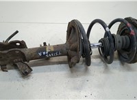  Амортизатор подвески Nissan Murano 2002-2008 20306598 #1